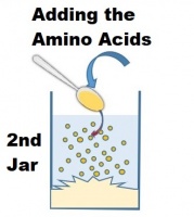 One Cup One Life - Adding the Amino Acids 1.jpg
