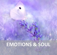 EMOTIONS & SOUL 332x322.jpg