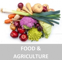 FOOD AGRICULTURE.jpg
